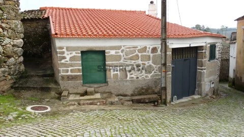 DSC01897