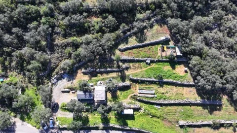 dji_fly_20260222_115102_0252_1771855786944_photo