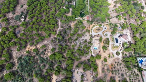 dji_fly_20260819_110304_0790_1787142418004_photo