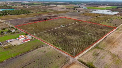 Terreno em União das Freguesias de Setúbal, Setúbal