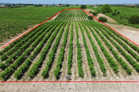 Terreno em Palmela, Palmela