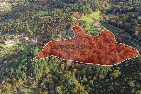 Terreno em Cabril, Montalegre