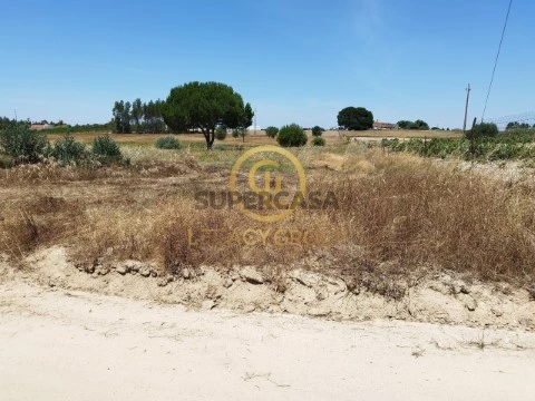 Terreno em Branca, Coruche