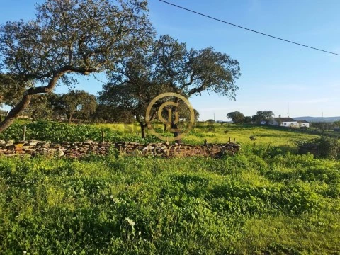 Terreno em Santiago Maior, Alandroal