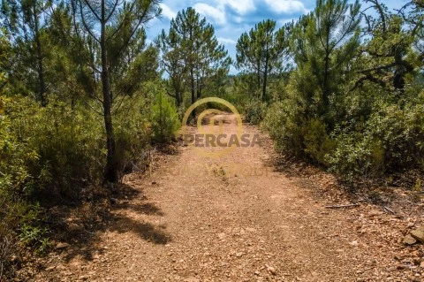 Terreno em Salir, Loulé