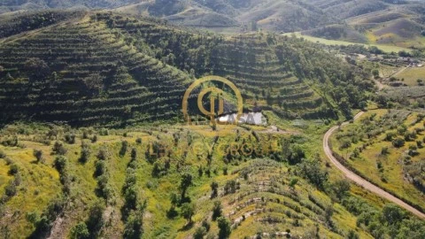 Terreno em Sabóia, Odemira