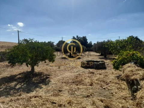 Terrein Op S.Mig. Pinheiro, S.Pedro Solis, S.Sebastião Carros, Mértola