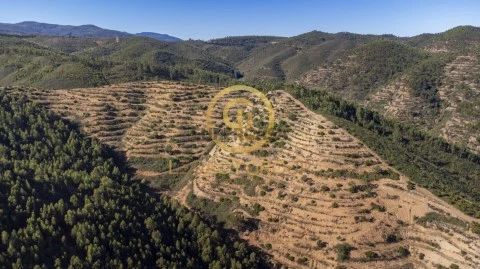 Terreno em Alferce, Monchique