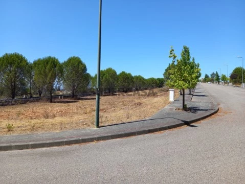 Loteamento Pinhal D´el Rei - Constância