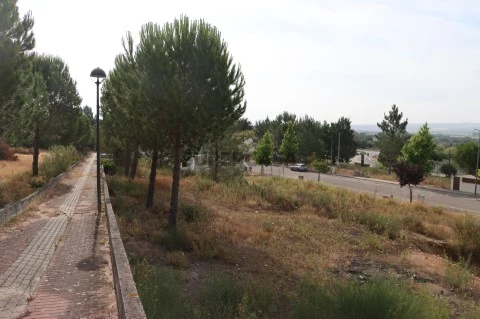 2025.06.23 Lot. Pinhal DRey (9)
