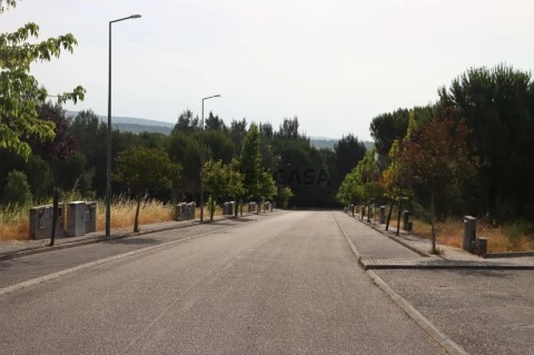 2025.06.23 Lot. Pinhal DRey (14)