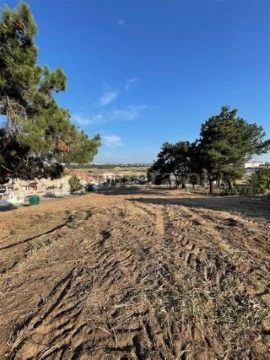 Foto terreno 3