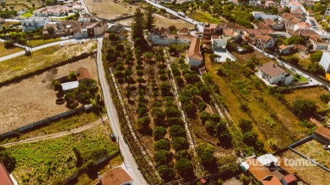 Moradia T22 em Mata Mourisca, Pombal