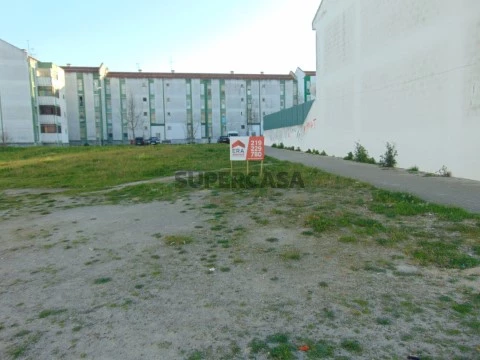 DSC03064