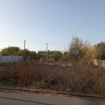 lote1