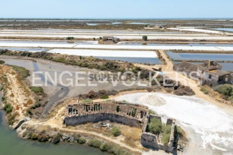 Traditional Salinas Investment in Tavira