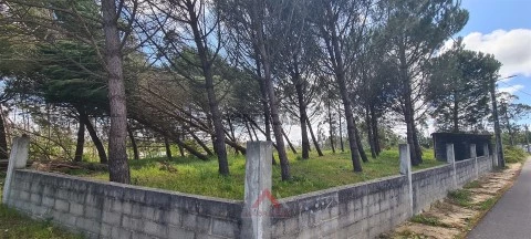 Terreno Rústico em Maceira, Leiria