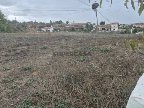 20251101_102030