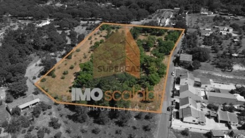 Terreno em Carregueira, Chamusca