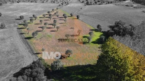 Terreno em Achete, Azoia de Baixo e Póvoa de Santarém, Santarém
