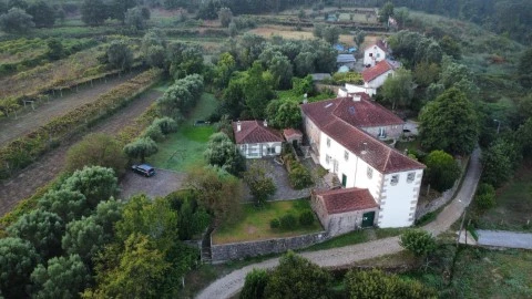 Vista drone