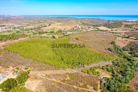 Terreno em Budens, Vila do Bispo