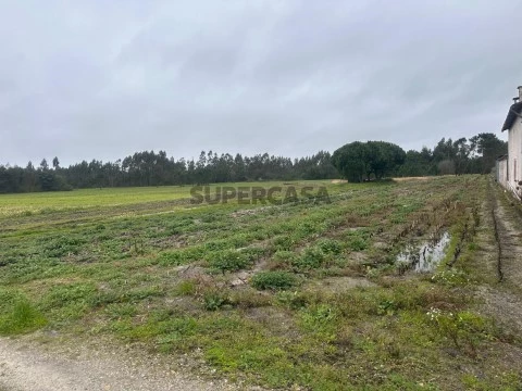 1756c367-1c23-4f2d-8c45-ebb8bd1fe47b