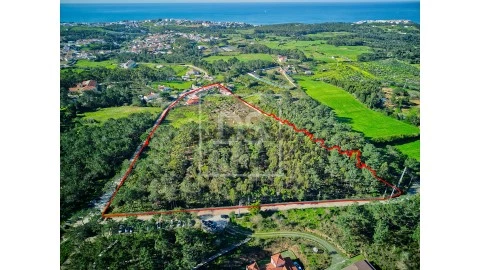 Quinta T3 em Ericeira, Mafra