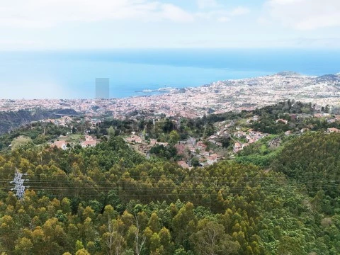 Terreno em Monte, Funchal