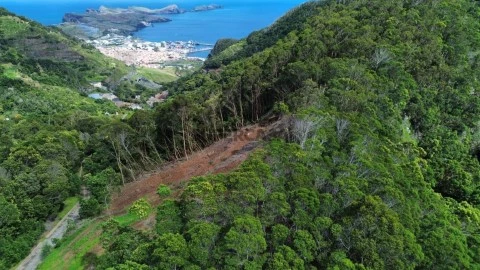 Terreno em Caniçal, Machico