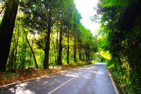 Terreno em Santana, Santana