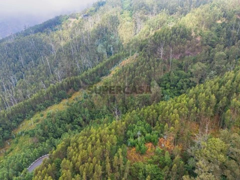 Terreno em Monte, Funchal