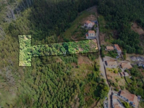 Terreno em Monte, Funchal