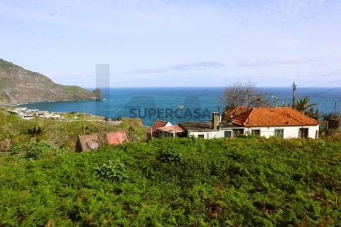 Terreno no Faial, Santana