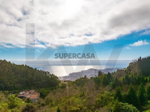 Quinta T5 em Santa Maria Maior, Funchal