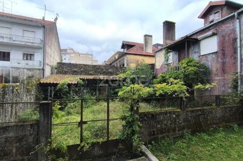 Quintal/Jardim