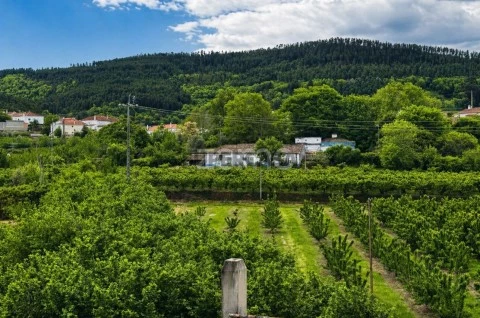 Terreno