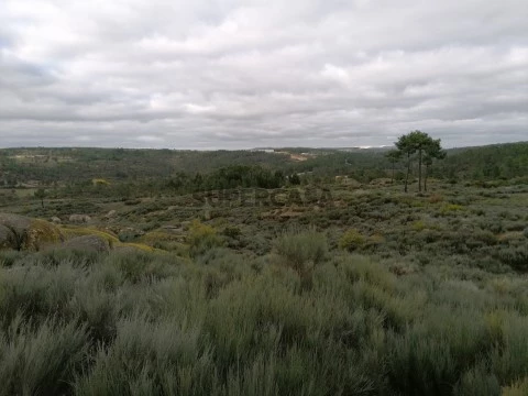 Terreno