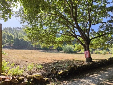 Terreno em Mosteiro da Ribeira