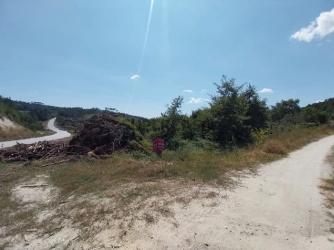 Terreno em Cavaca