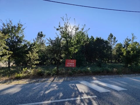 Terreno Coruche