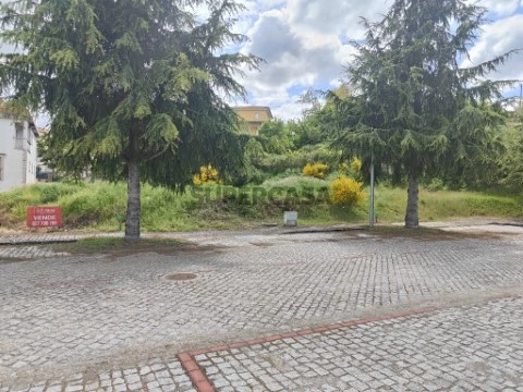 Lote 8 em Sernancelhe