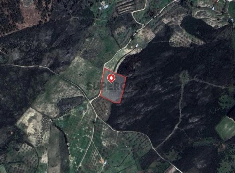 Terreno em Guilheiro - Localização