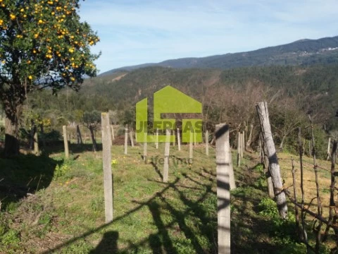 Moradia T0 em Vila Nova, Miranda do Corvo