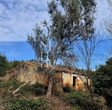 Moradia T2 em São Teotónio, Odemira