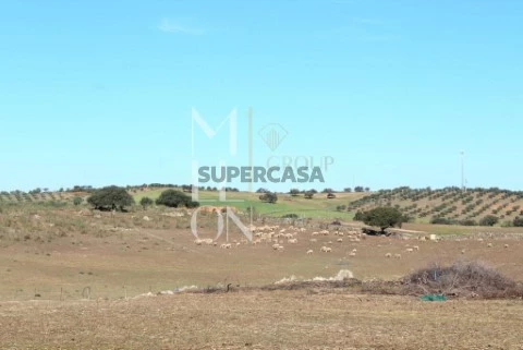 Quinta T3 em Granja, Mourão