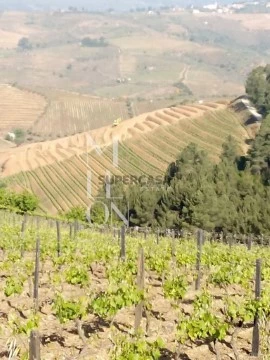 Terreno em Vilar de Maçada, Alijó