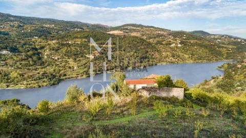 Quinta T4 em Anreade e São Romão de Aregos, Resende