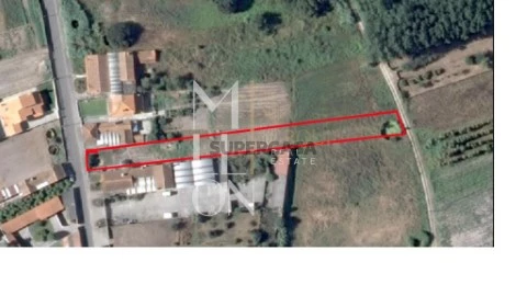 Terreno em Bustos, Troviscal e Mamarrosa, Oliveira do Bairro