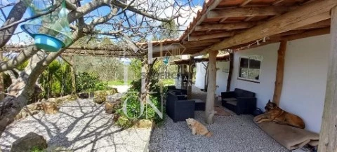 Boerderij 1 kamer Op São Pedro e Santa Maria e Vila Boa do Mondego, Celorico da Beira